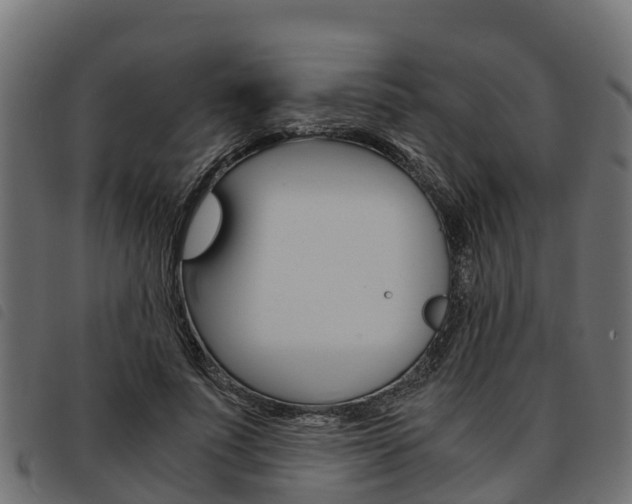 X0000093590691200710151017