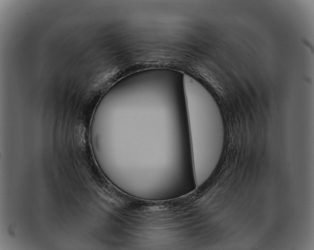 X0000093590692200710151017