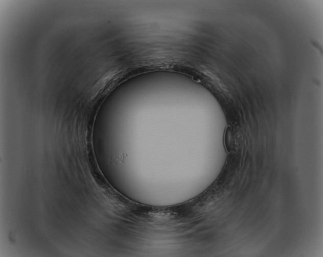 X0000093590693200710151017