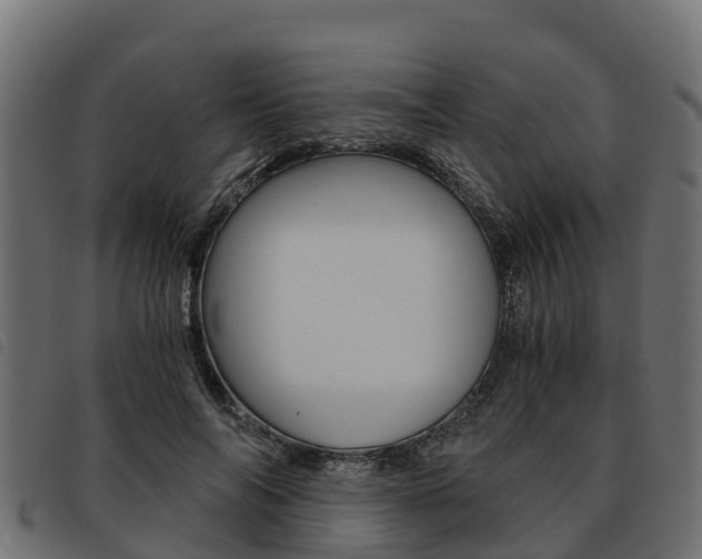 X0000093590694200710151017