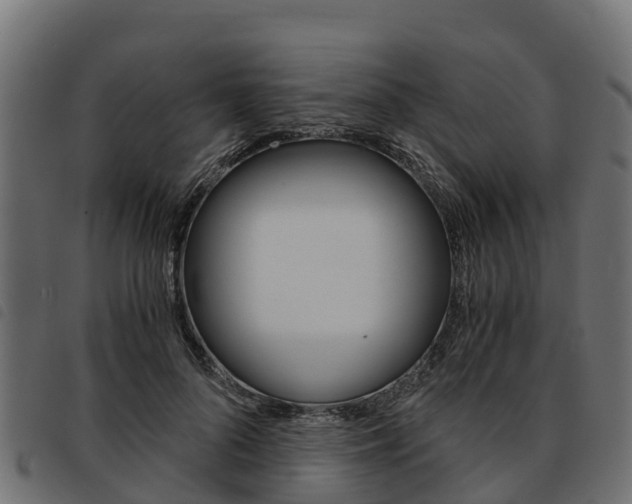 X0000093590696200710151017