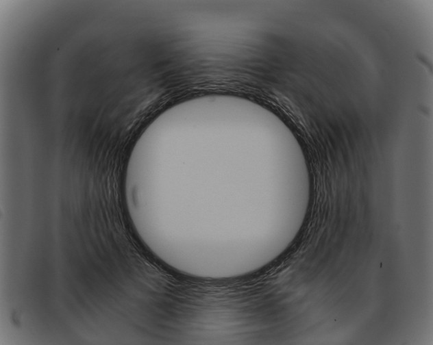 X0000093590697200710151017