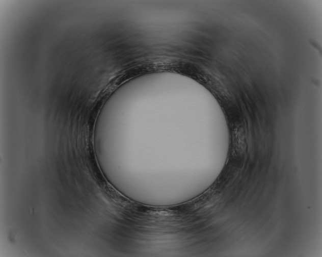 X0000093590698200710151017