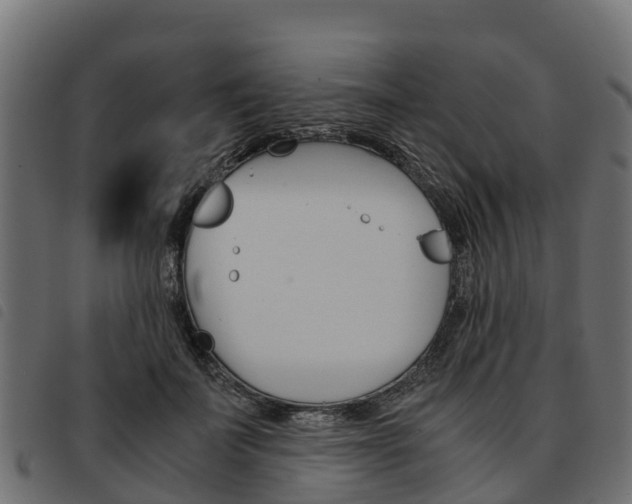 X0000093590699200710151017