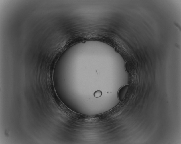 X0000093590700200710151017