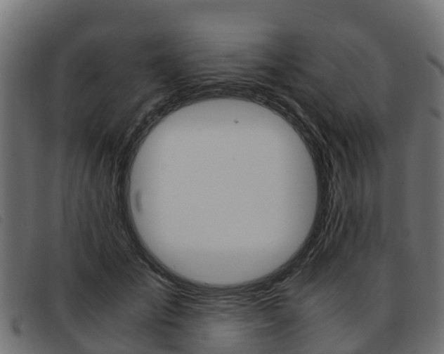 X0000093590701200710151017