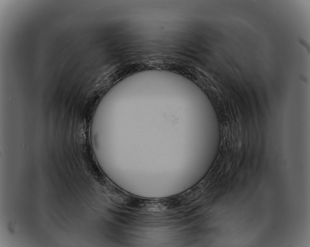 X0000093590702200710151017