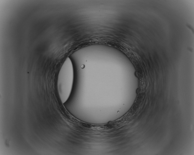 X0000093590703200710151017