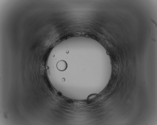 X0000093590707200710151017