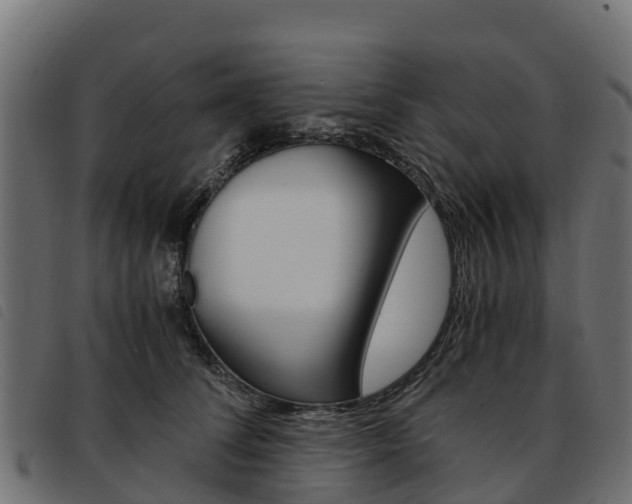 X0000093590708200710151017