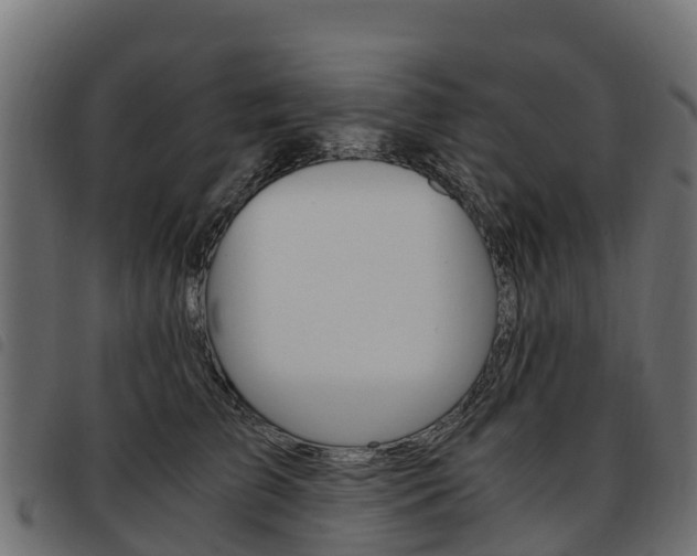 X0000093590709200710151017