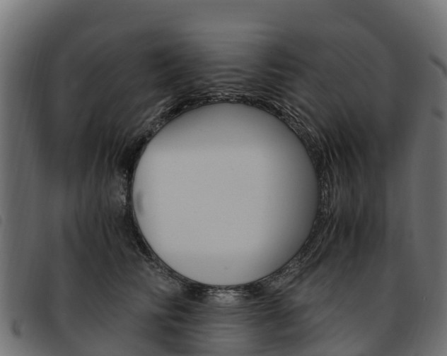 X0000093590710200710151017