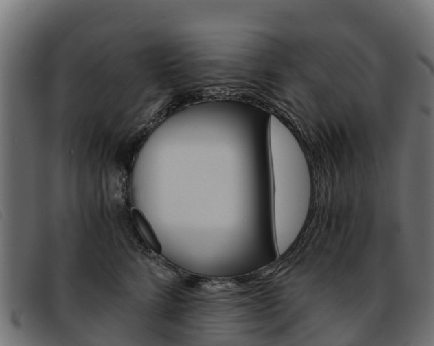 X0000093590712200710151017