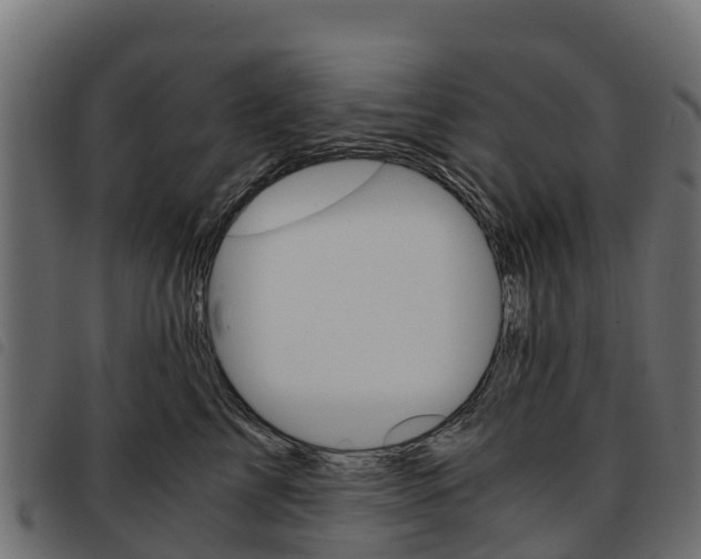 X0000093590713200710151017