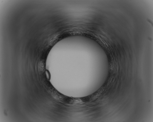 X0000093590715200710151017