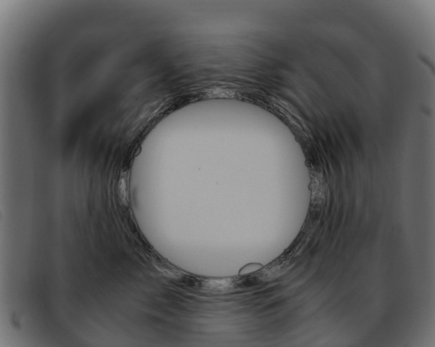 X0000093590717200710151017