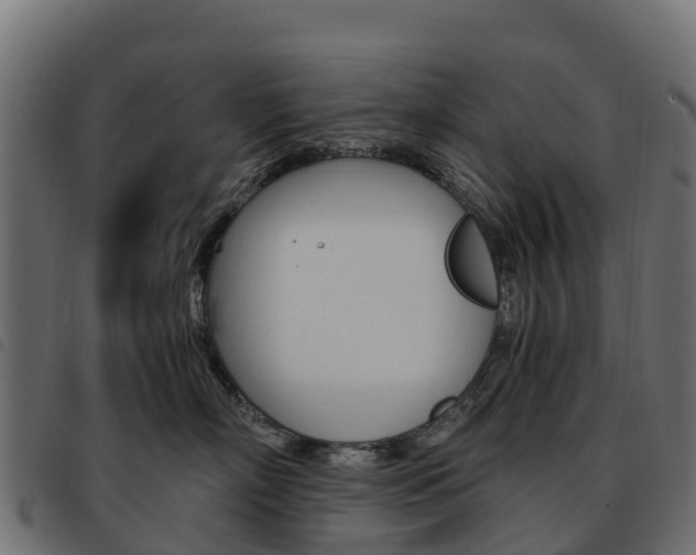 X0000093590718200710151017