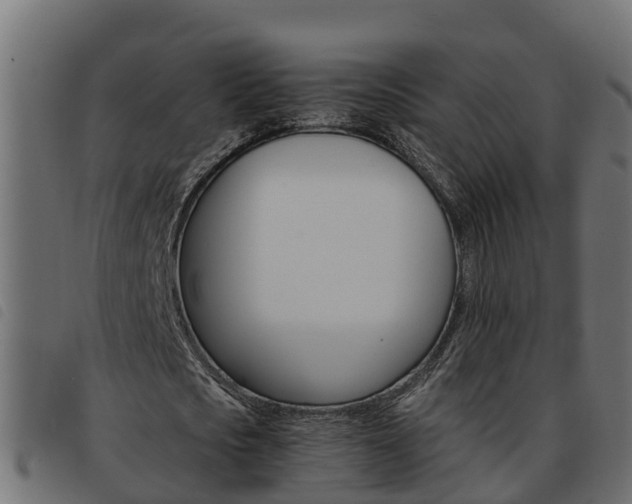 X0000093590721200710151017