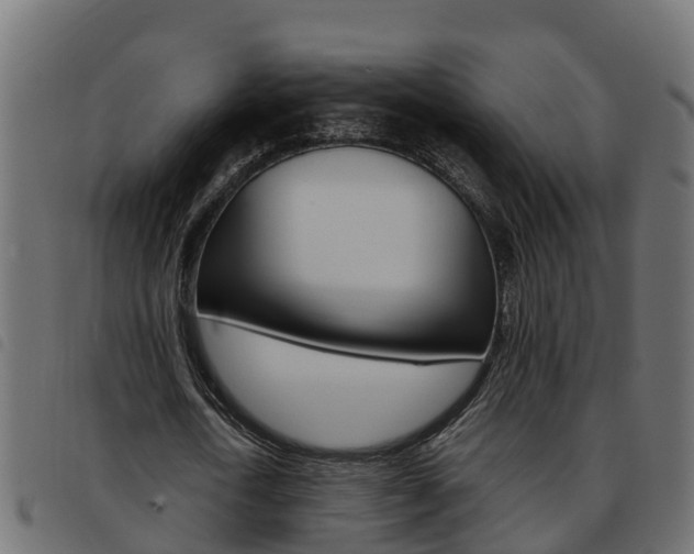 X0000093590722200710151017