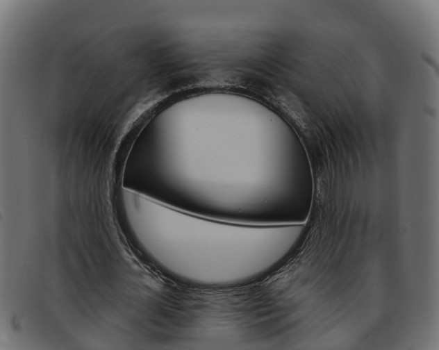 X0000093590724200710151017