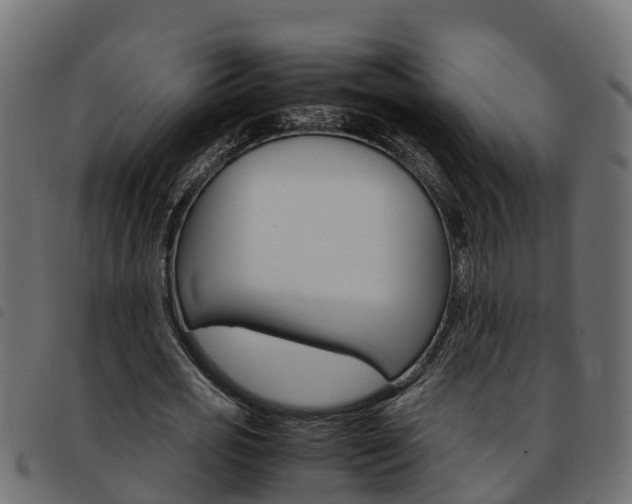 X0000093590725200710151017