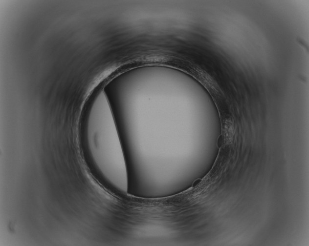 X0000093590726200710151017
