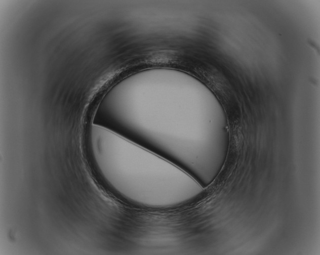X0000093590728200710151017