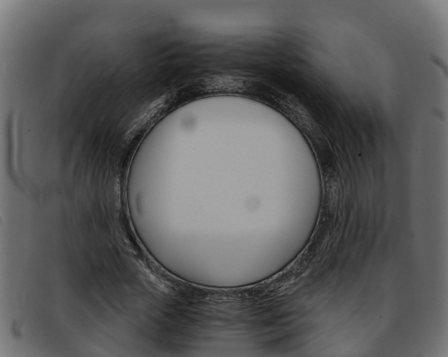 X0000093590729200710151017