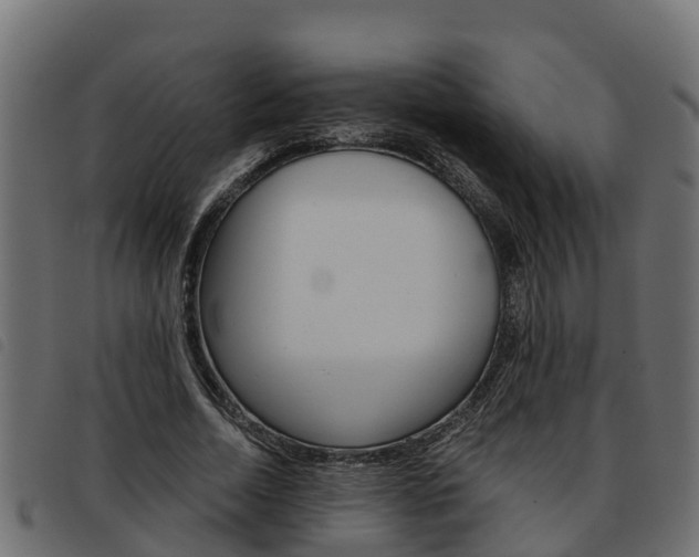 X0000093590730200710151017