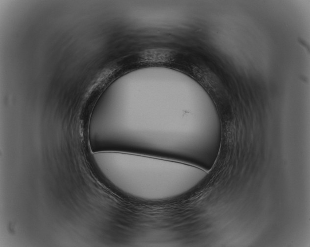X0000093590731200710151017