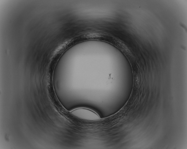 X0000093590732200710151017