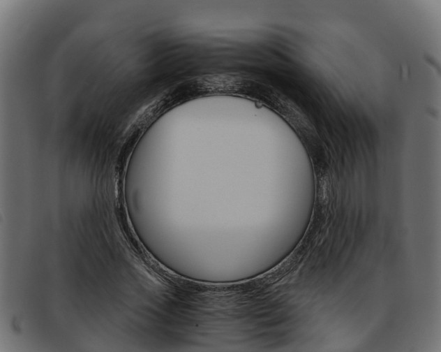 X0000093590733200710151017