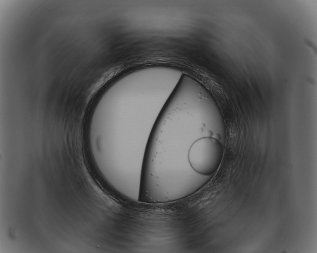 X0000093590734200710151017