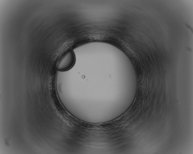 X0000093590738200710151017