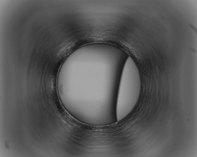 X0000093590740200710151017