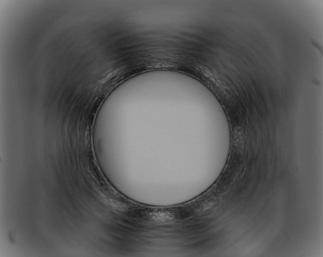 X0000093590741200710151017
