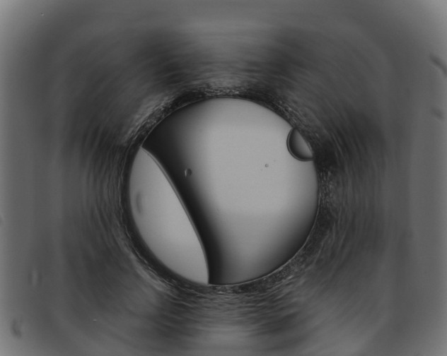 X0000093590742200710151017