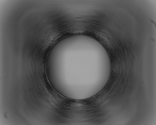 X0000093590743200710151017
