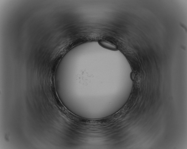X0000093590746200710151017