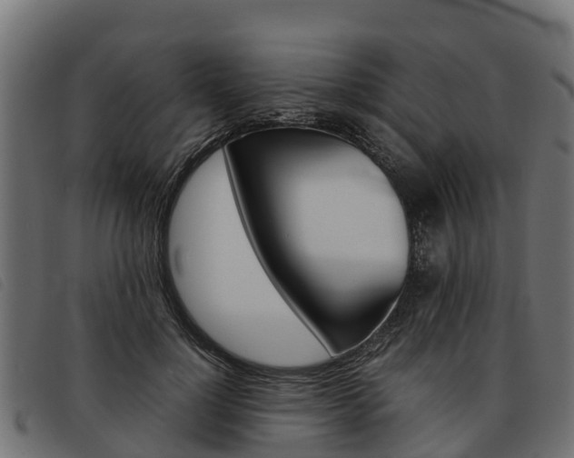 X0000093590748200710151017
