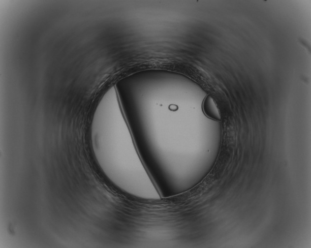 X0000093590750200710151017