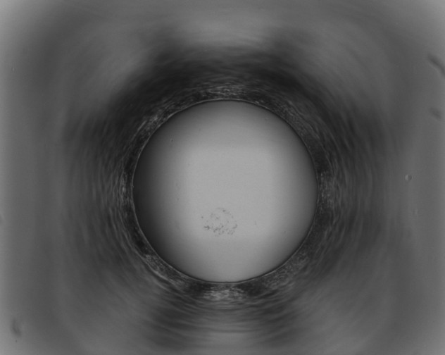X0000093590752200710151017