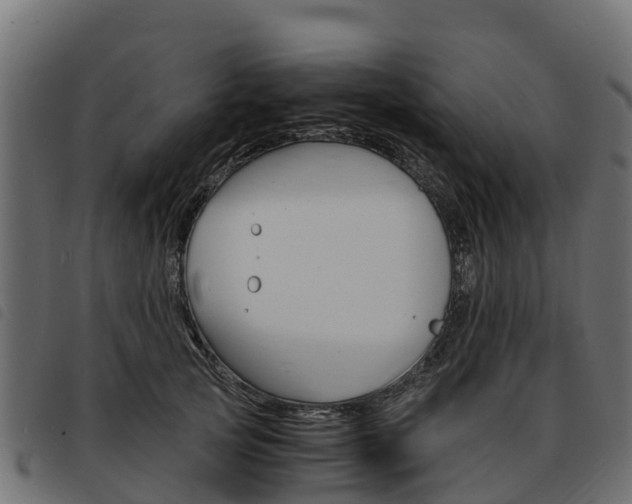 X0000093590753200710151017