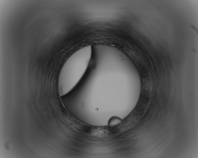 X0000093590754200710151017