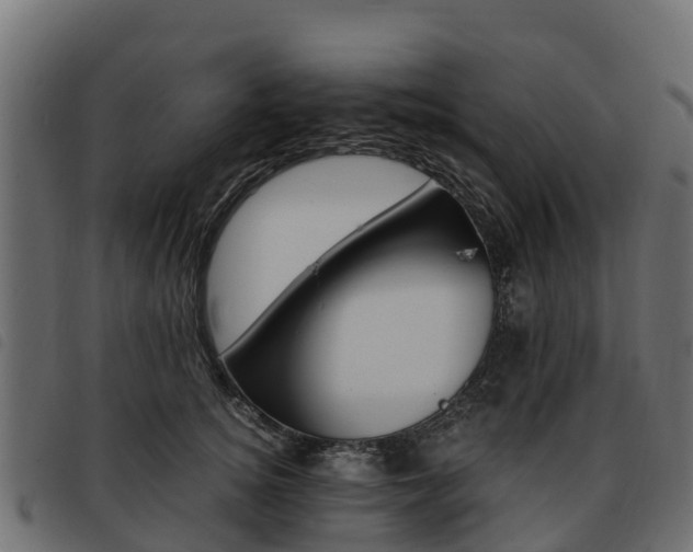 X0000093590756200710151017