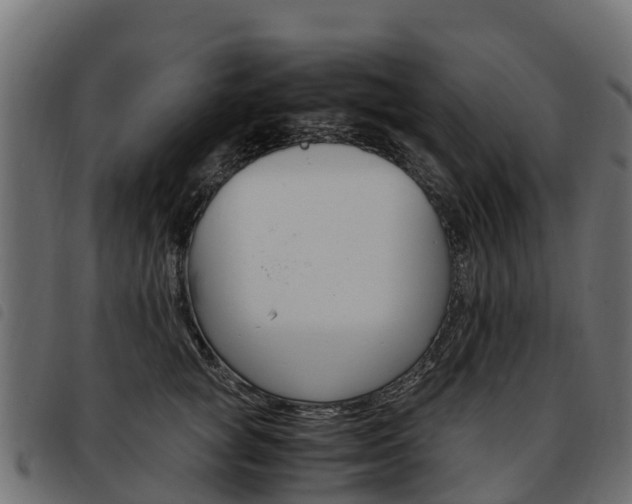 X0000093590757200710151017