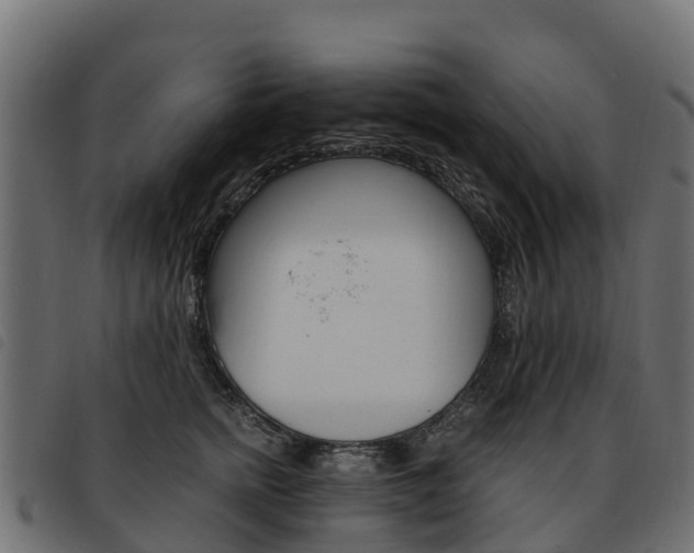 X0000093590758200710151017
