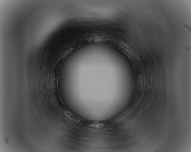 X0000093590760200710151017