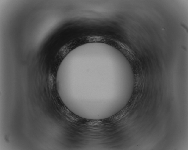X0000093590761200710151017