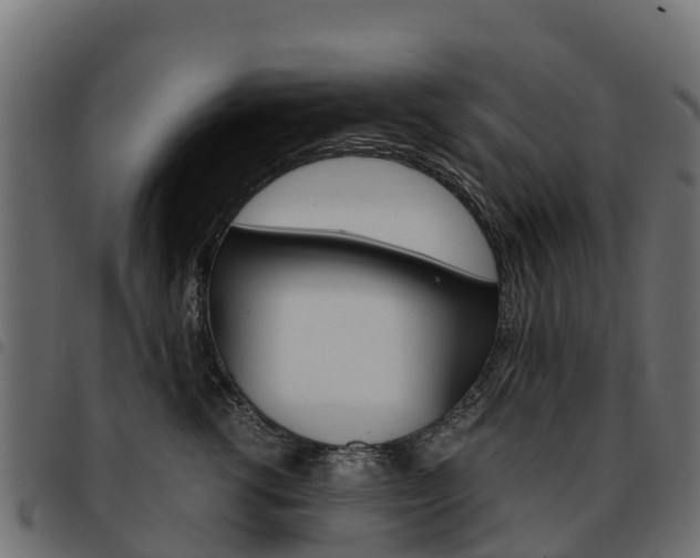 X0000093590762200710151017